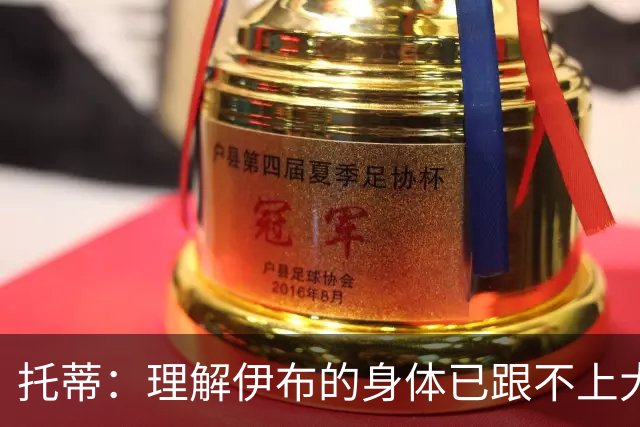 托蒂：理解伊布的身体已跟不上大脑 盼他延续生涯