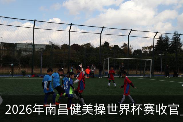 2026年南昌健美操世界杯赛收官 中国军团揽3金